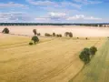 Ile kosztuje dzierżawa gruntu od miasta? Ceny, które zaskakują