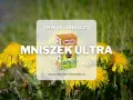 Mniszek Ultra – chwastobójczy środek do trawnika, który skutecznie zwalcza mniszki i inne chwasty, przywracając piękno Twojego ogrodu.