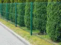 Zielone, metalowe ogrodzenie panelowe, jeden z popularnych rodzajów ogrodzeń, oddziela chodnik od gęstego żywopłotu.
