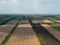 Jaka cena gruntów rolnych? Sprawdź, gdzie są najniższe stawki
