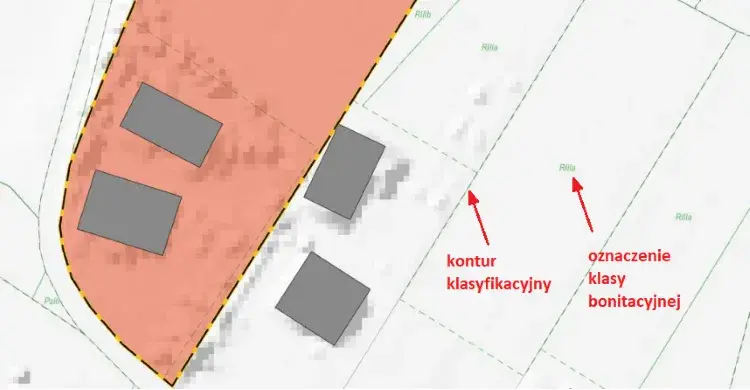Ile wynosi podatek od gruntu rolnego i jak go obliczyć?