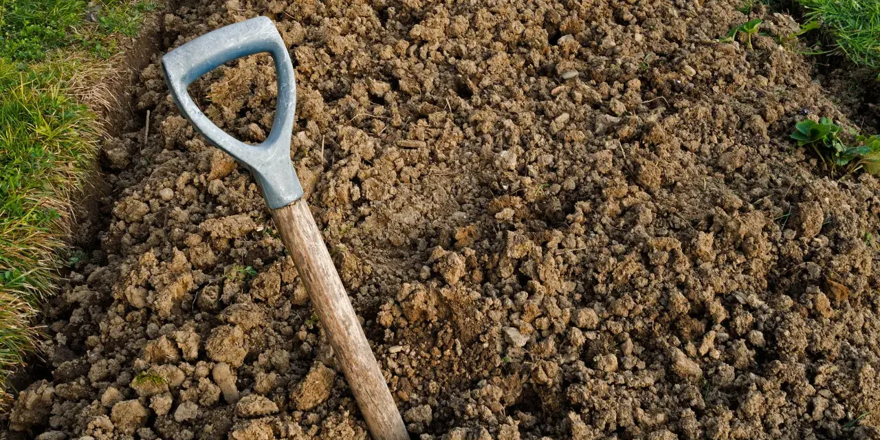 Jak użyźnić glebę gliniastą i poprawić jej strukturę dla lepszych plonów