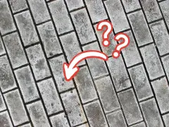 Szare wykwity na kostce brukowej, zaznaczone czerwoną strzałką i znakami zapytania.