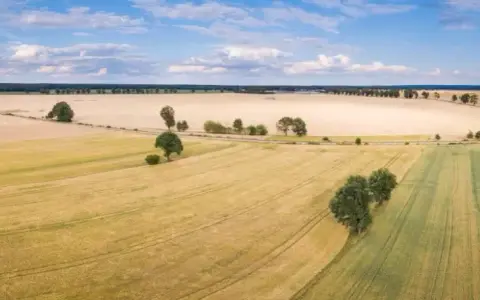 Ile kosztuje dzierżawa gruntu od miasta? Ceny, które zaskakują