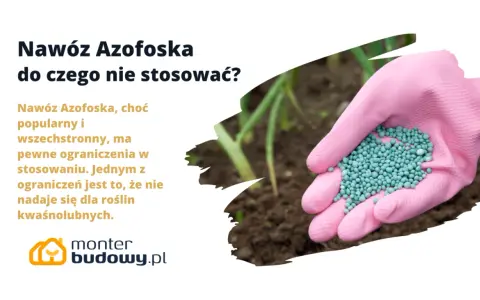 Różowa rękawica trzyma nawóz Azofoska. Dowiedz się, do czego nie stosować tego popularnego nawozu, zwłaszcza przy roślinach kwasolubnych.