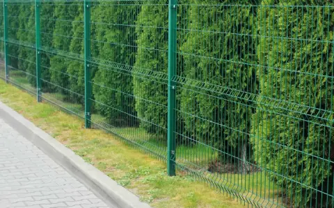 Zielone, metalowe ogrodzenie panelowe, jeden z popularnych rodzajów ogrodzeń, oddziela chodnik od gęstego żywopłotu.