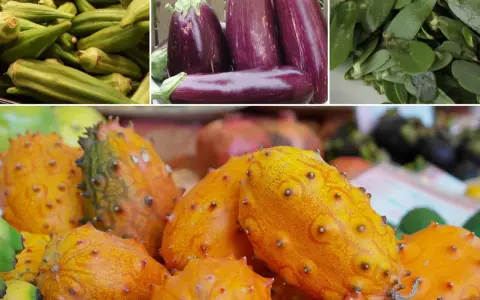 Kiwano, bakłażany, okra i inne egzotyczne warzywa tworzą barwną mozaikę smaków.