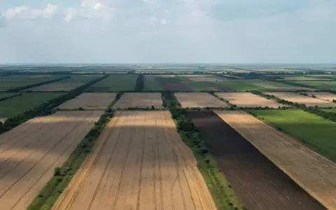 Jaka cena gruntów rolnych? Sprawdź, gdzie są najniższe stawki