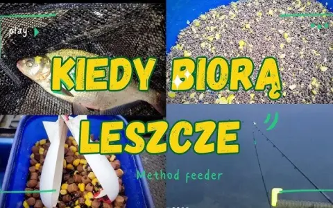 Kiedy na leszcza z gruntu? Odkryj najlepsze miesiące na łowienie