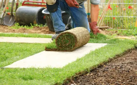 Osoba kładzie zwiniętą darń na trawniku.