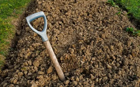 Jak użyźnić glebę gliniastą i poprawić jej strukturę dla lepszych plonów