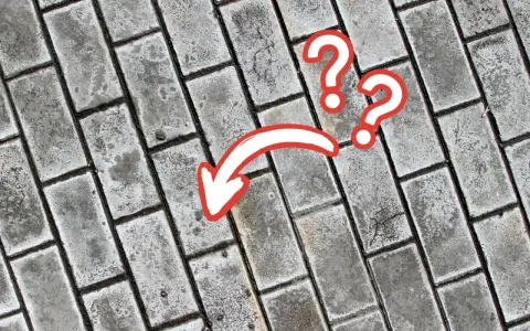 Szare wykwity na kostce brukowej, zaznaczone czerwoną strzałką i znakami zapytania.