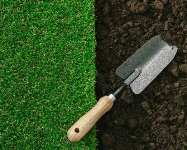 Jak założyć trawnik na chwastach i uniknąć problemów z pielęgnacją