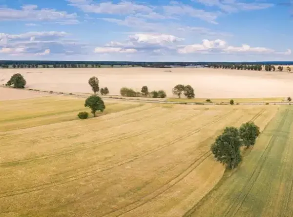 Ile kosztuje dzierżawa gruntu od miasta? Ceny, które zaskakują