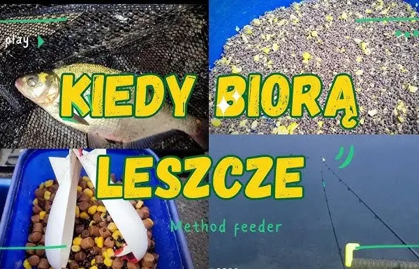 Kiedy na leszcza z gruntu? Odkryj najlepsze miesiące na łowienie