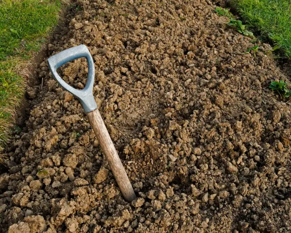 Jak użyźnić glebę gliniastą i poprawić jej strukturę dla lepszych plonów