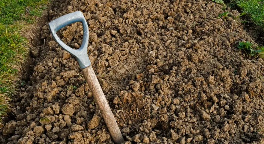 Jak użyźnić glebę gliniastą i poprawić jej strukturę dla lepszych plonów
